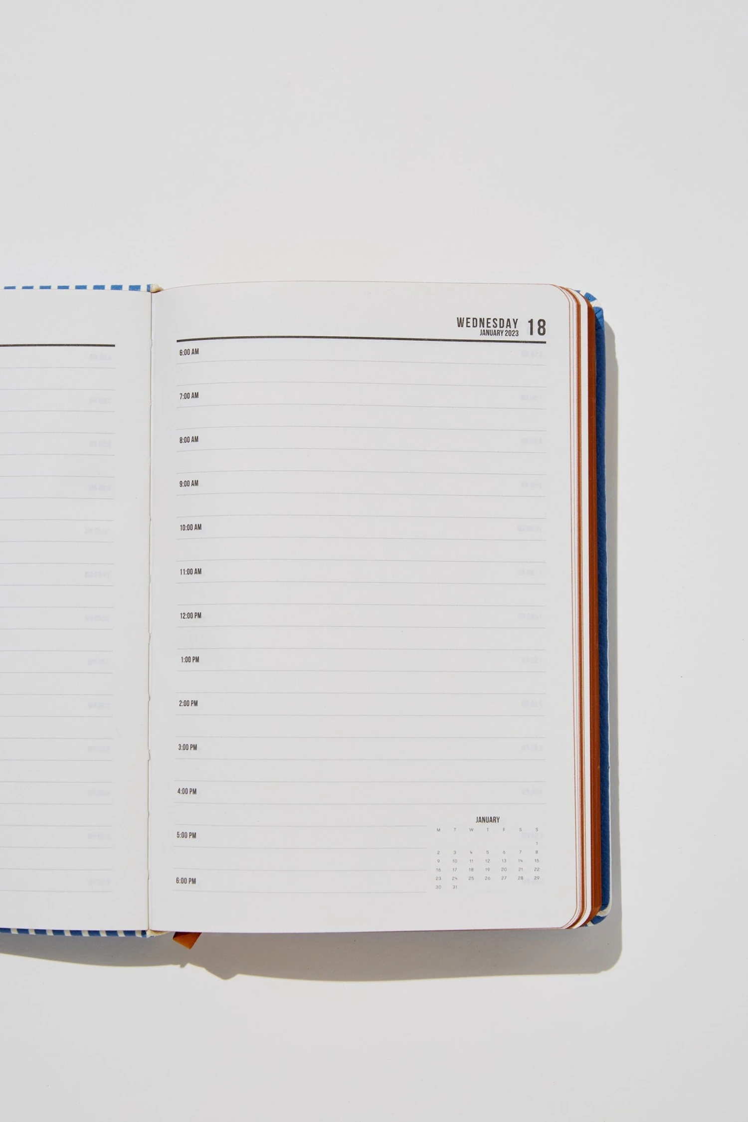 Typo Diaries & Planners Personalised 2023 A5 Daily Buffalo Diary 2 Typo Diaries & Planners Personalised 2023 A5 Daily Buffalo Diary - Image 2