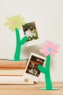 Typo Pencil Cases & Accessories Acrylic Card Holder 2 Pack