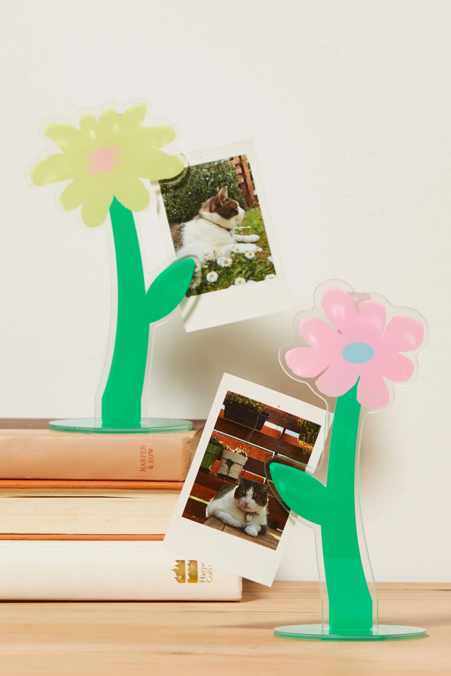 Typo Pencil Cases & Accessories Acrylic Card Holder 2 Pack 1 Typo Pencil Cases & Accessories Acrylic Card Holder 2 Pack